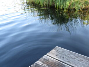 Moorteich mit Badesteg und Wasserpflanzen